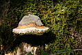 DSC04277 - Bernhard Saalfeld