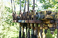 DSC04285 - Bernhard Saalfeld