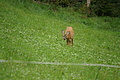 DSC04321 - Bernhard Saalfeld
