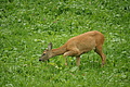 DSC04323 - Bernhard Saalfeld