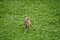DSC04325 - Bernhard Saalfeld