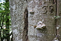 DSC04343 - Bernhard Saalfeld