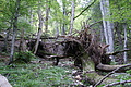 DSC04345 - Bernhard Saalfeld