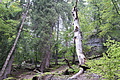 DSC04358 - Bernhard Saalfeld