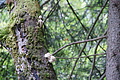 DSC04388 - Bernhard Saalfeld