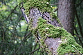 DSC04391 - Bernhard Saalfeld