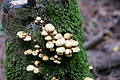 DSC04394 - Bernhard Saalfeld