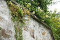 DSC04401 - Bernhard Saalfeld