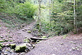 DSC04410 - Bernhard Saalfeld