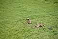 DSC04425 - Bernhard Saalfeld