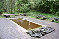 DSC04445 - Bernhard Saalfeld