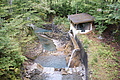 DSC04484 - Bernhard Saalfeld
