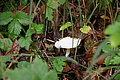 DSC04495 - Bernhard Saalfeld