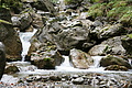 DSC04503 - Bernhard Saalfeld