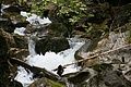 DSC04504 - Bernhard Saalfeld