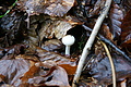 DSC04510 - Bernhard Saalfeld