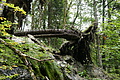 DSC04515 - Bernhard Saalfeld