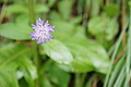 DSC04517 - Bernhard Saalfeld