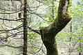 DSC04518 - Bernhard Saalfeld