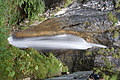 DSC04519 - Bernhard Saalfeld