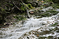 DSC04528 - Bernhard Saalfeld