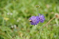 DSC04542 - Bernhard Saalfeld
