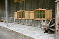 DSC04547 - Bernhard Saalfeld