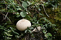 DSC04577 - Bernhard Saalfeld