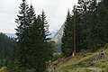 DSC04580 - Bernhard Saalfeld