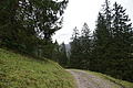 DSC04581 - Bernhard Saalfeld