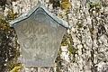 DSC04586 - Bernhard Saalfeld