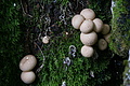 DSC04592 - Bernhard Saalfeld