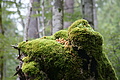 DSC04623 - Bernhard Saalfeld