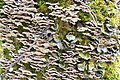 DSC04624 - Bernhard Saalfeld