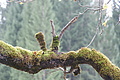 DSC04626 - Bernhard Saalfeld