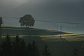 DSC04631 - Bernhard Saalfeld