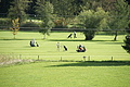 DSC04642 - Bernhard Saalfeld