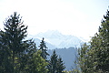 DSC04648 - Bernhard Saalfeld
