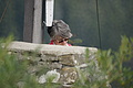DSC04665 - Bernhard Saalfeld