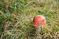 DSC04680 - Bernhard Saalfeld