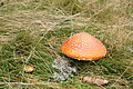 DSC04682 - Bernhard Saalfeld