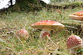 DSC04687 - Bernhard Saalfeld