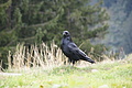 DSC04693 - Bernhard Saalfeld