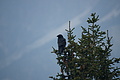DSC04695 - Bernhard Saalfeld