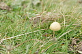 DSC04699 - Bernhard Saalfeld