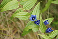 DSC04708 - Bernhard Saalfeld