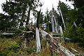 DSC04709 - Bernhard Saalfeld