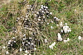 DSC04712 - Bernhard Saalfeld