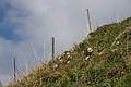 DSC04729 - Bernhard Saalfeld
