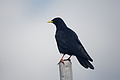DSC04732 - Bernhard Saalfeld